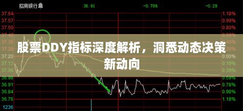 股票DDY指標深度解析，洞悉動態(tài)決策新動向