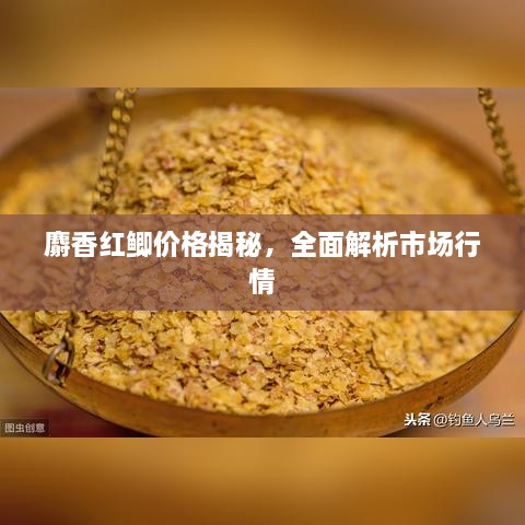 麝香紅鯽價格揭秘，全面解析市場行情