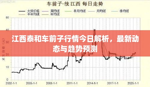 江西泰和車前子行情今日解析，最新動(dòng)態(tài)與趨勢(shì)預(yù)測(cè)