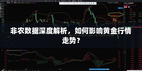 非農(nóng)數(shù)據(jù)深度解析，如何影響黃金行情走勢？