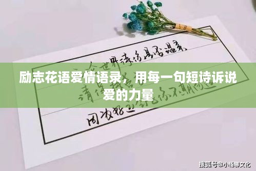 勵志花語愛情語錄，用每一句短詩訴說愛的力量