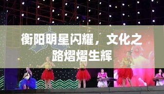 衡陽(yáng)明星閃耀，文化之路熠熠生輝