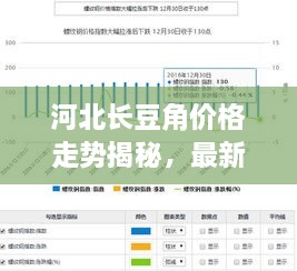 河北長(zhǎng)豆角價(jià)格走勢(shì)揭秘，最新行情分析報(bào)告！