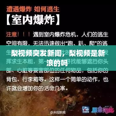 梨視頻突發(fā)新聞，梨視頻是新浪的嗎 