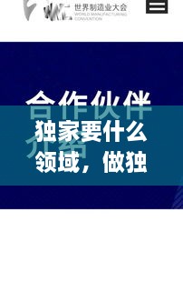 獨家要什么領(lǐng)域，做獨家代理有什么要求 